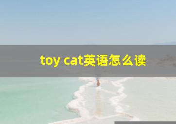 toy cat英语怎么读